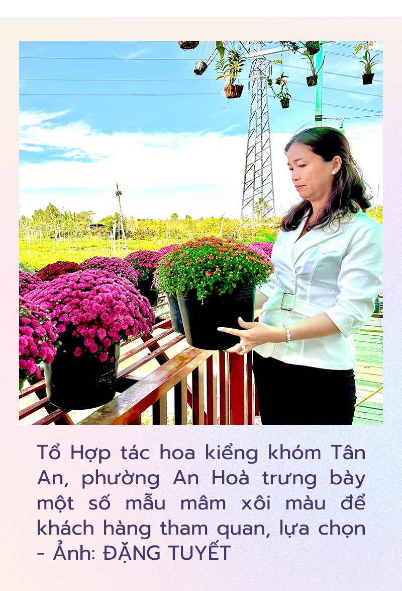 Hàng ngàn giỏ cúc mâm xôi nhiều màu cung ứng Festival hoa kiểng Sa Đéc- Ảnh 7.
