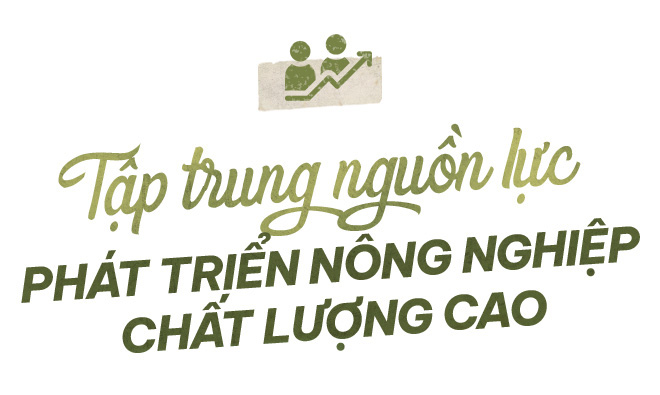 Hồi sinh từ vùng đất tiêu, điều cằn cỗi - Ảnh 1.