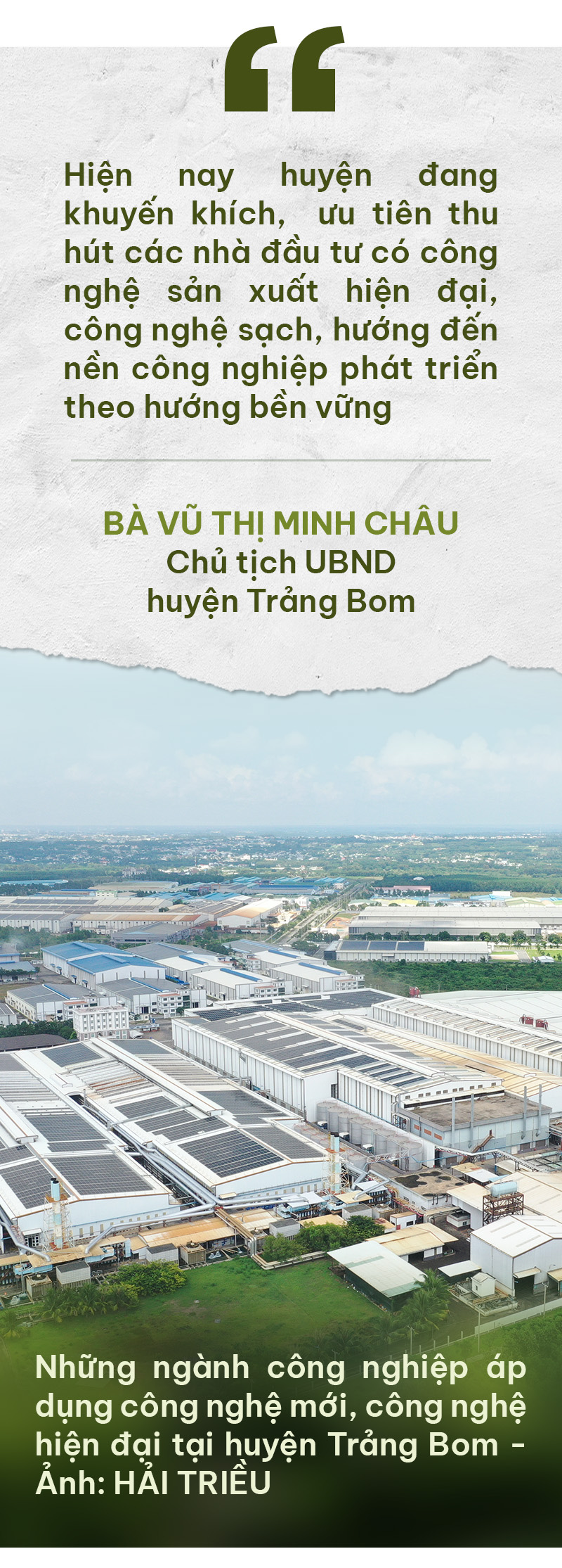 Hồi sinh từ vùng đất tiêu, điều cằn cỗi - Ảnh 8.