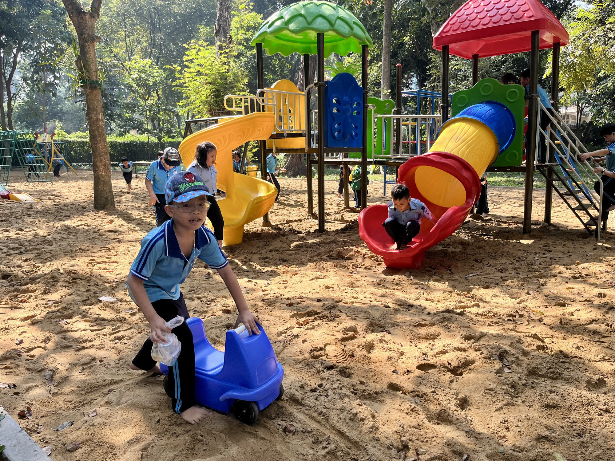 Thảo Cầm Viên Sài Gòn mở cửa sân chơi cát miễn phí cho trẻ em