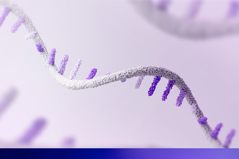 Chiến lược phát triển con người là chìa khóa thành công của Sanofi Việt Nam - Ảnh 12.