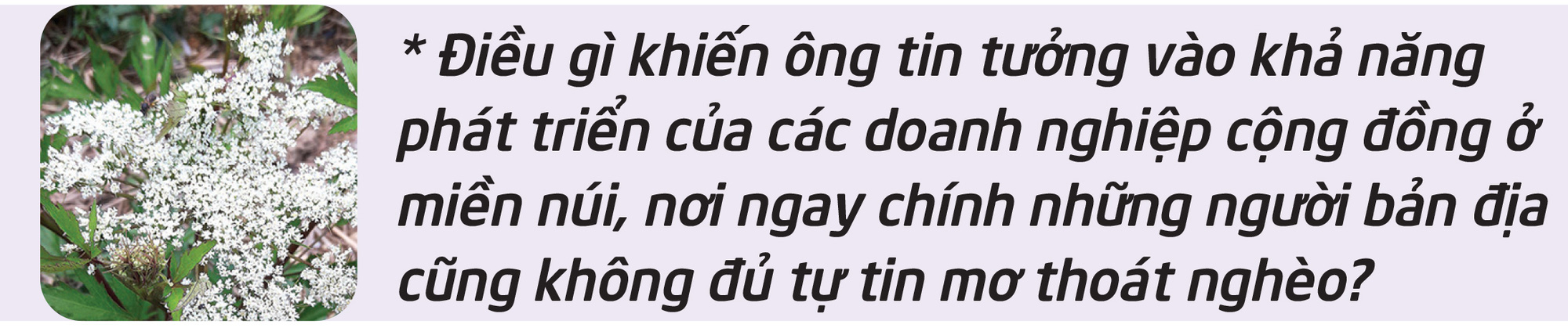 Người nhìn thấy một miền núi không nghèo - Ảnh 2.