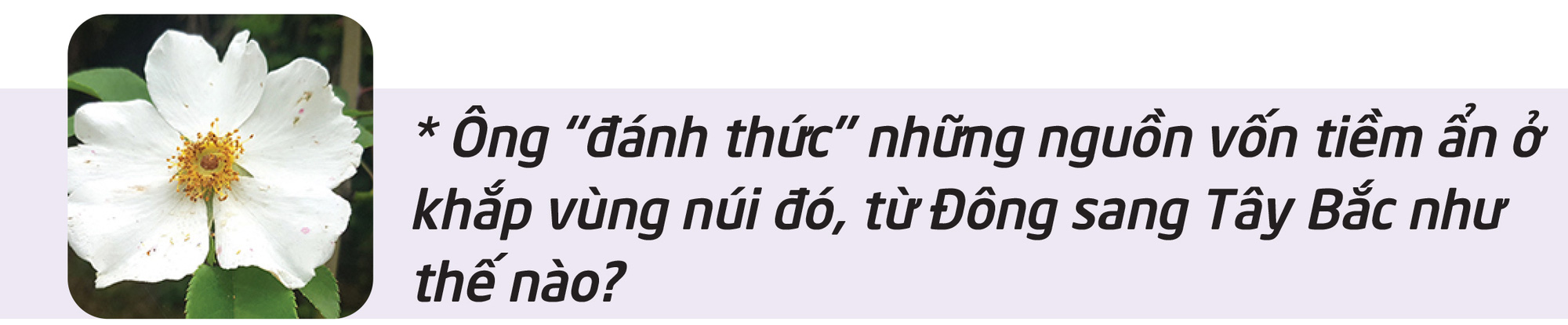 Người nhìn thấy một miền núi không nghèo - Ảnh 4.