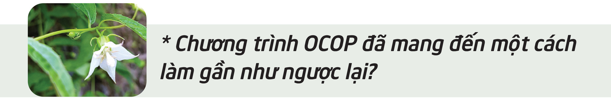 Người nhìn thấy một miền núi không nghèo - Ảnh 10.