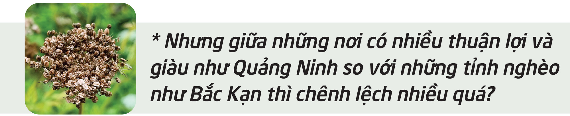 Người nhìn thấy một miền núi không nghèo - Ảnh 12.