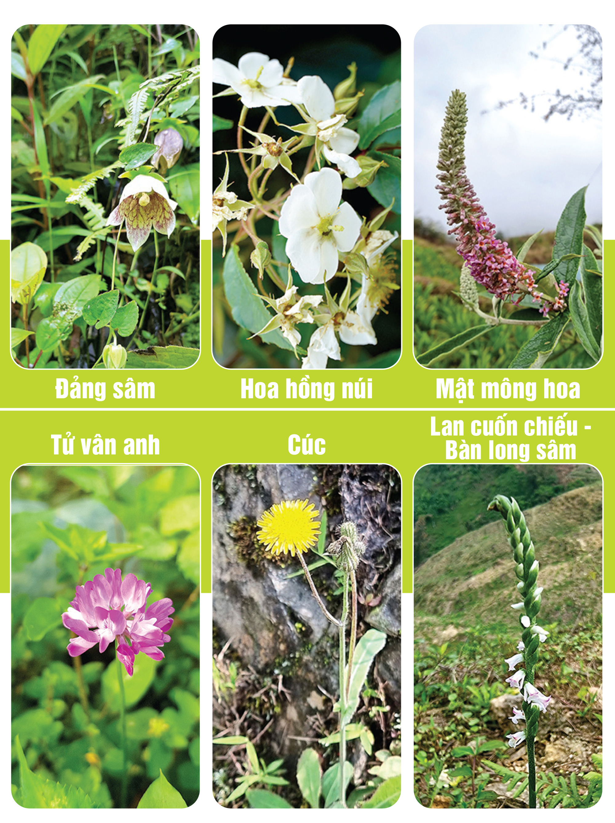 Người nhìn thấy một miền núi không nghèo - Ảnh 5.