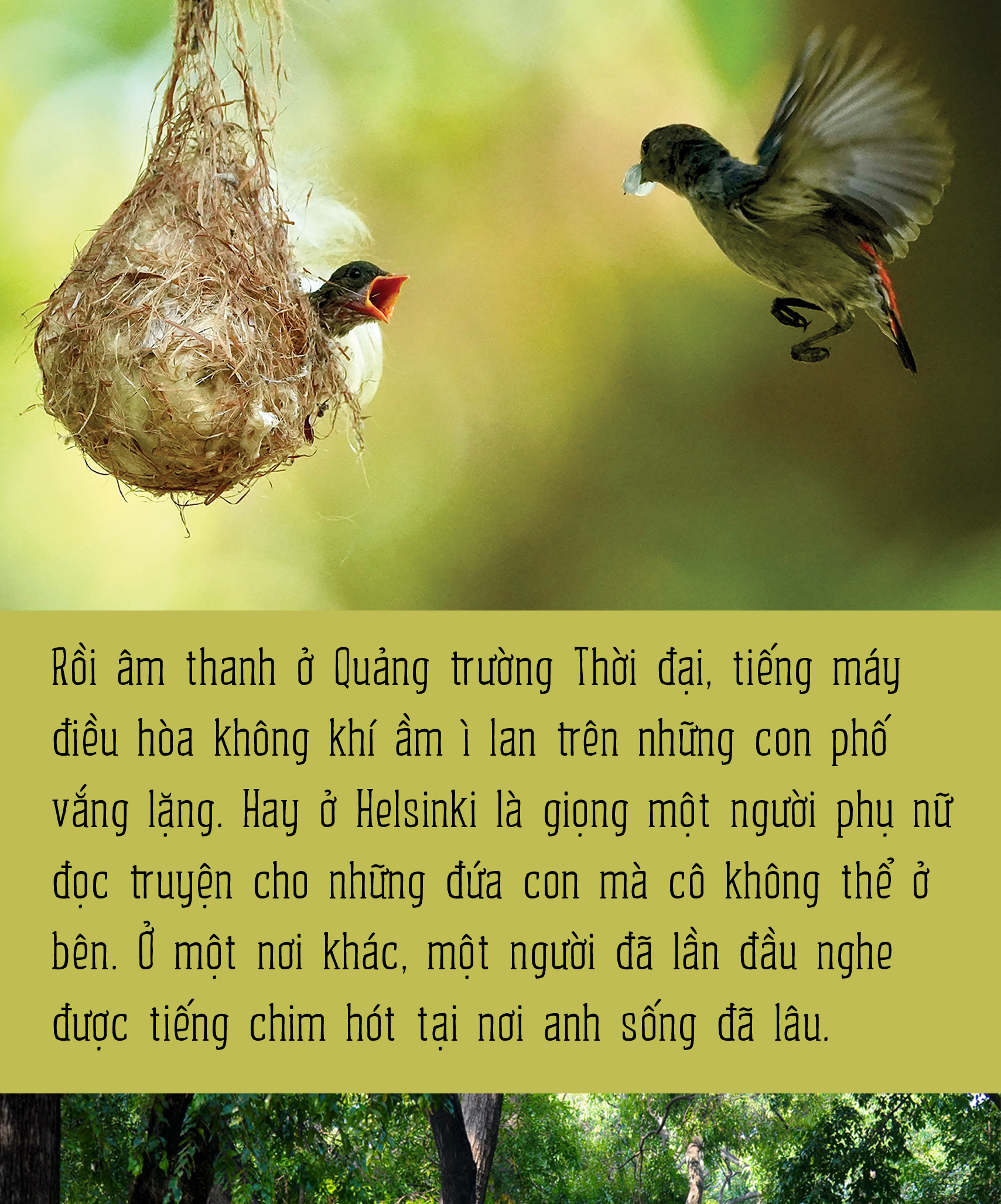 Đi tìm một hệ sinh thái âm thanh đô thị mới - Ảnh 4.