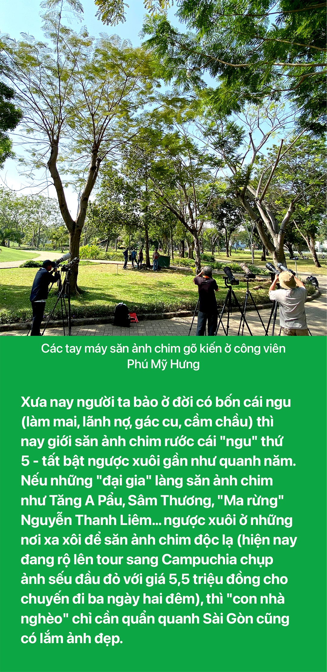 Mùa chim yêu giữa thành phố tháng 3 - Ảnh 10.