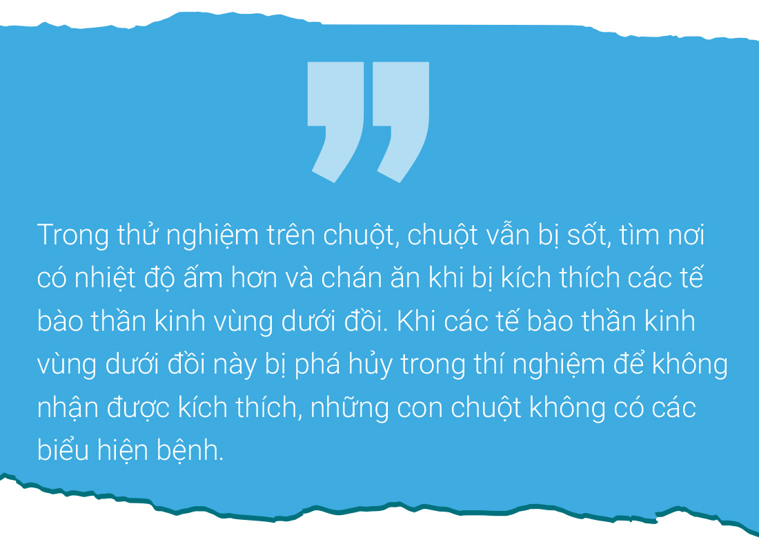 Cơ thể nhiễm bệnh, não ra tay - Ảnh 6.