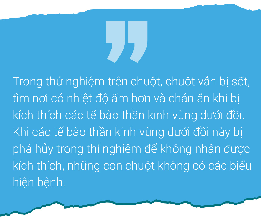 Cơ thể nhiễm bệnh, não ra tay - Ảnh 6.
