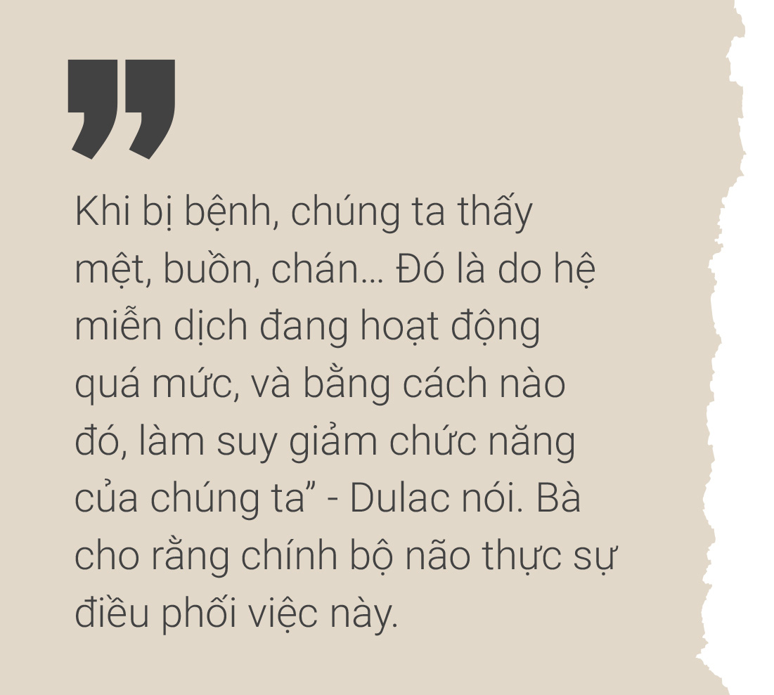 Cơ thể nhiễm bệnh, não ra tay - Ảnh 9.