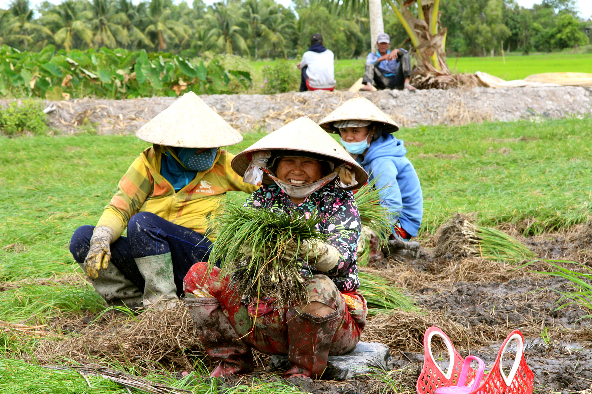 Một năm miền Tây chính thức vận hành siêu cống - Ảnh 15.