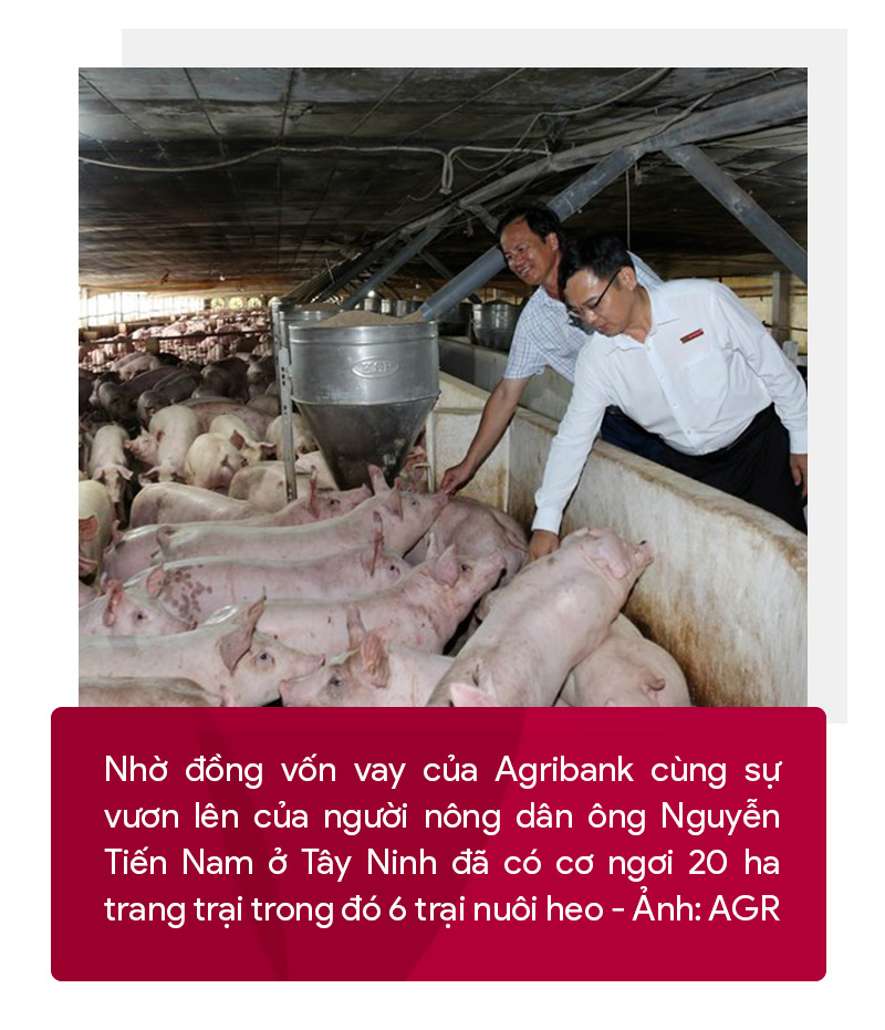 Agribank - điểm tựa vững chắc cho nền nông nghiệp Việt Nam - Ảnh 2.