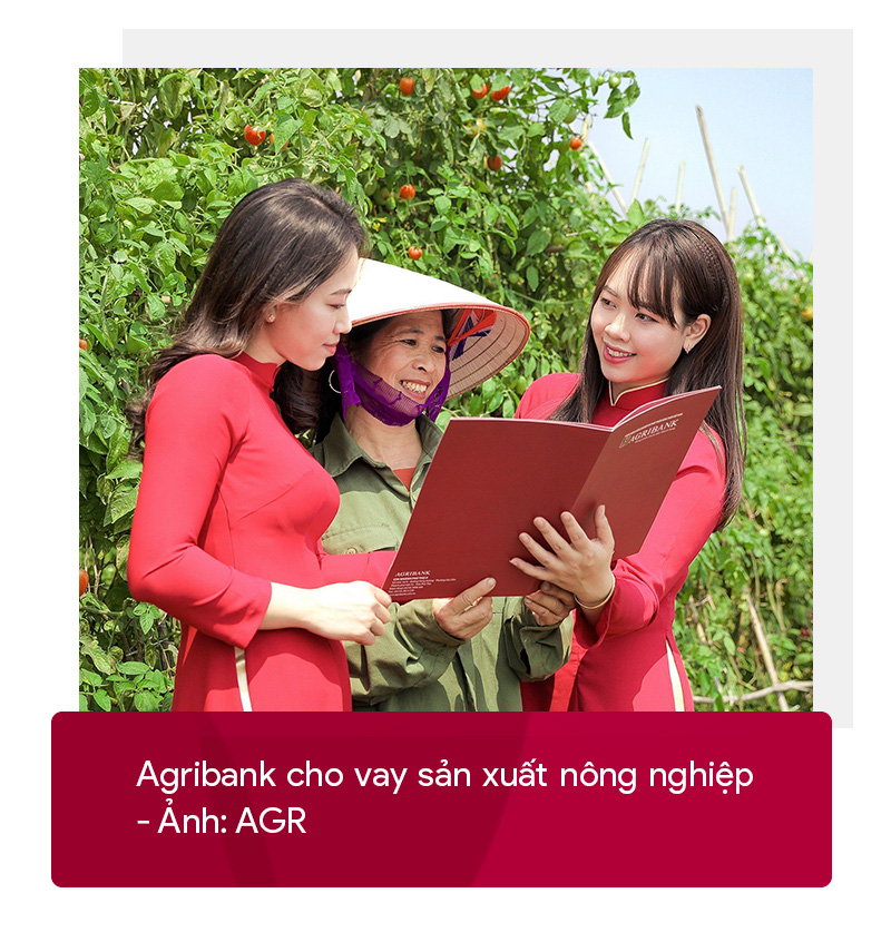 Agribank - điểm tựa vững chắc cho nền nông nghiệp Việt Nam - Ảnh 6.