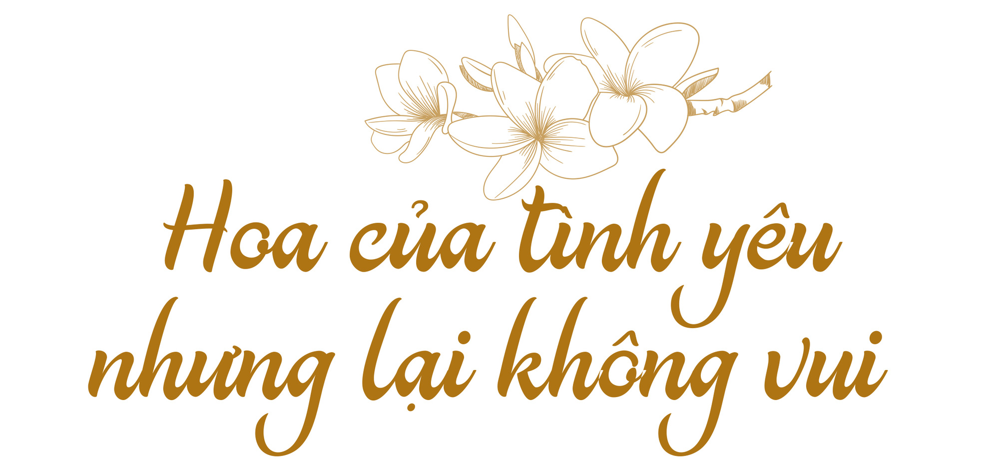 Hoa đại, hoa sứ  hoa của mâu thuẫn,  hoa của ai? - Ảnh 4.