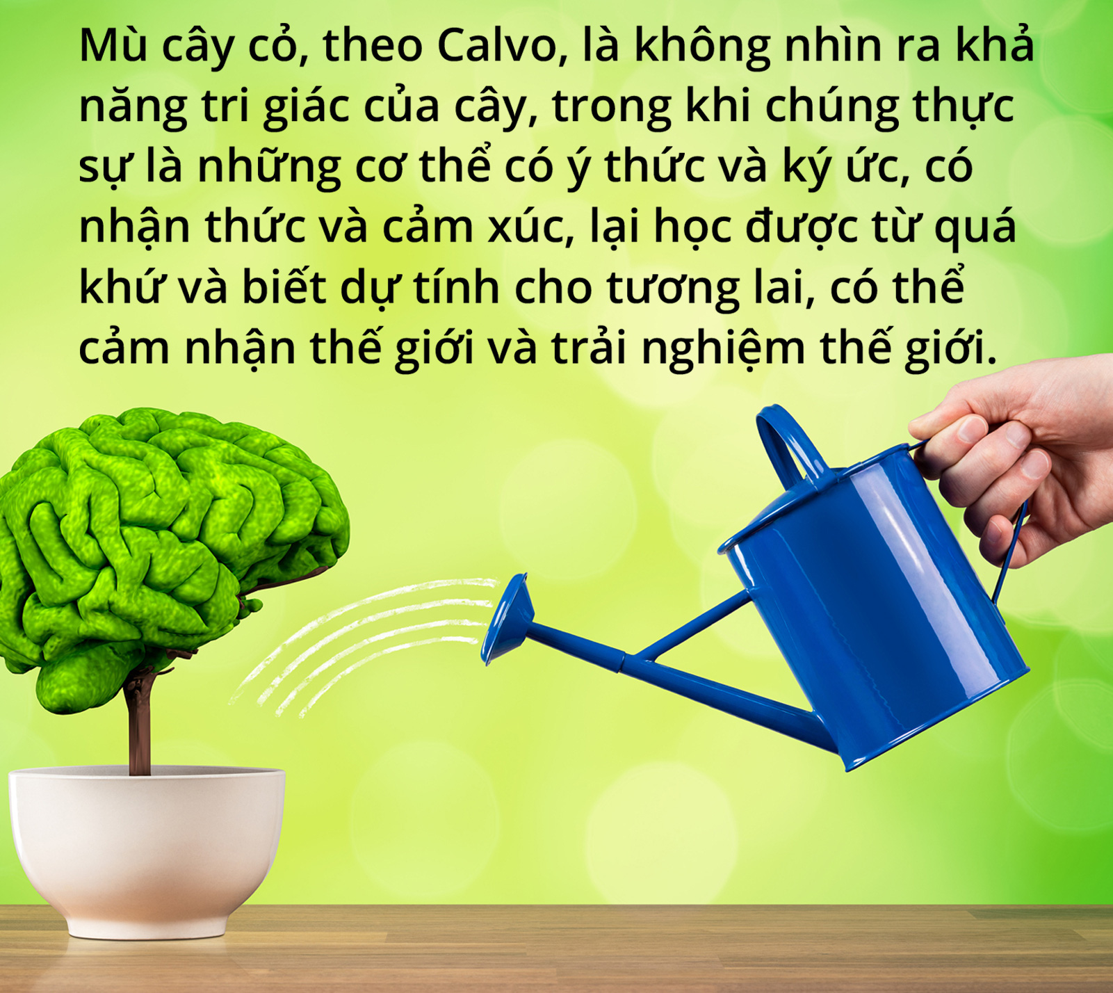 Hóa ra chúng ta là một rừng cây - Ảnh 2.