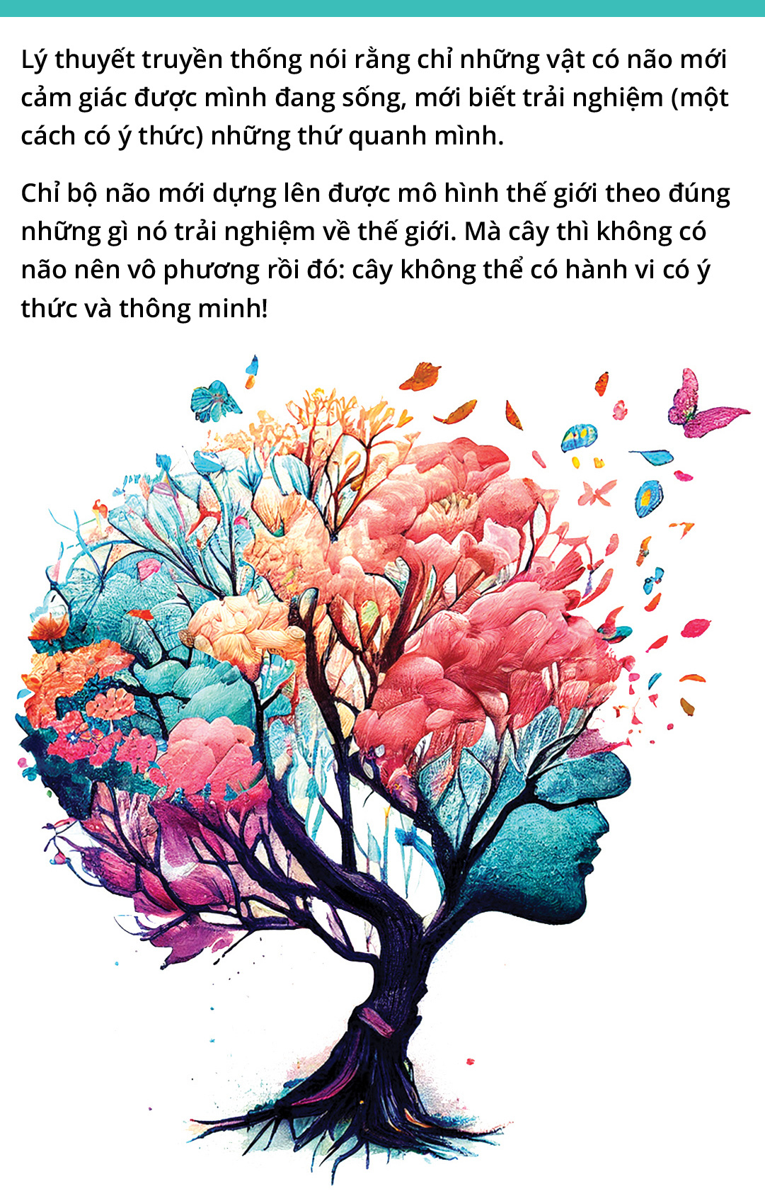 Hóa ra chúng ta là một rừng cây - Ảnh 8.