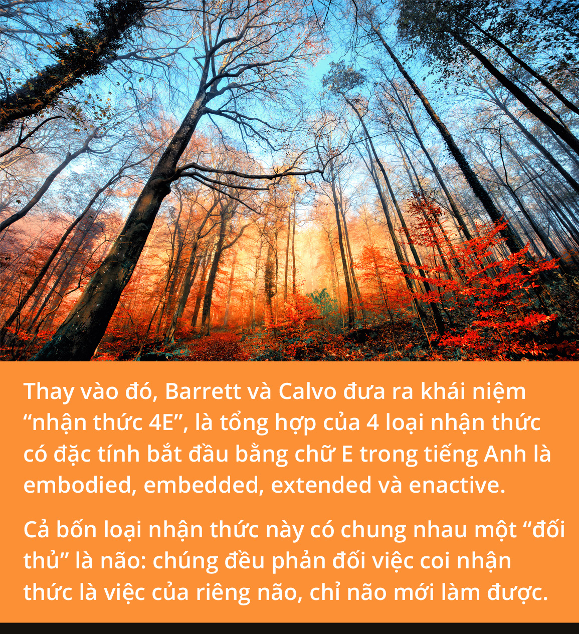 Hóa ra chúng ta là một rừng cây - Ảnh 10.