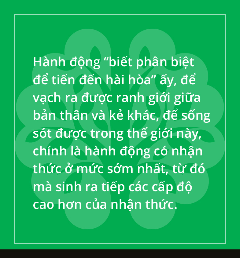 Hóa ra chúng ta là một rừng cây - Ảnh 12.