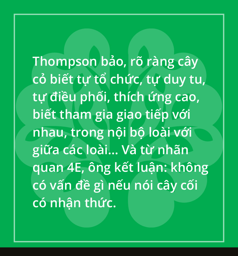 Hóa ra chúng ta là một rừng cây - Ảnh 14.