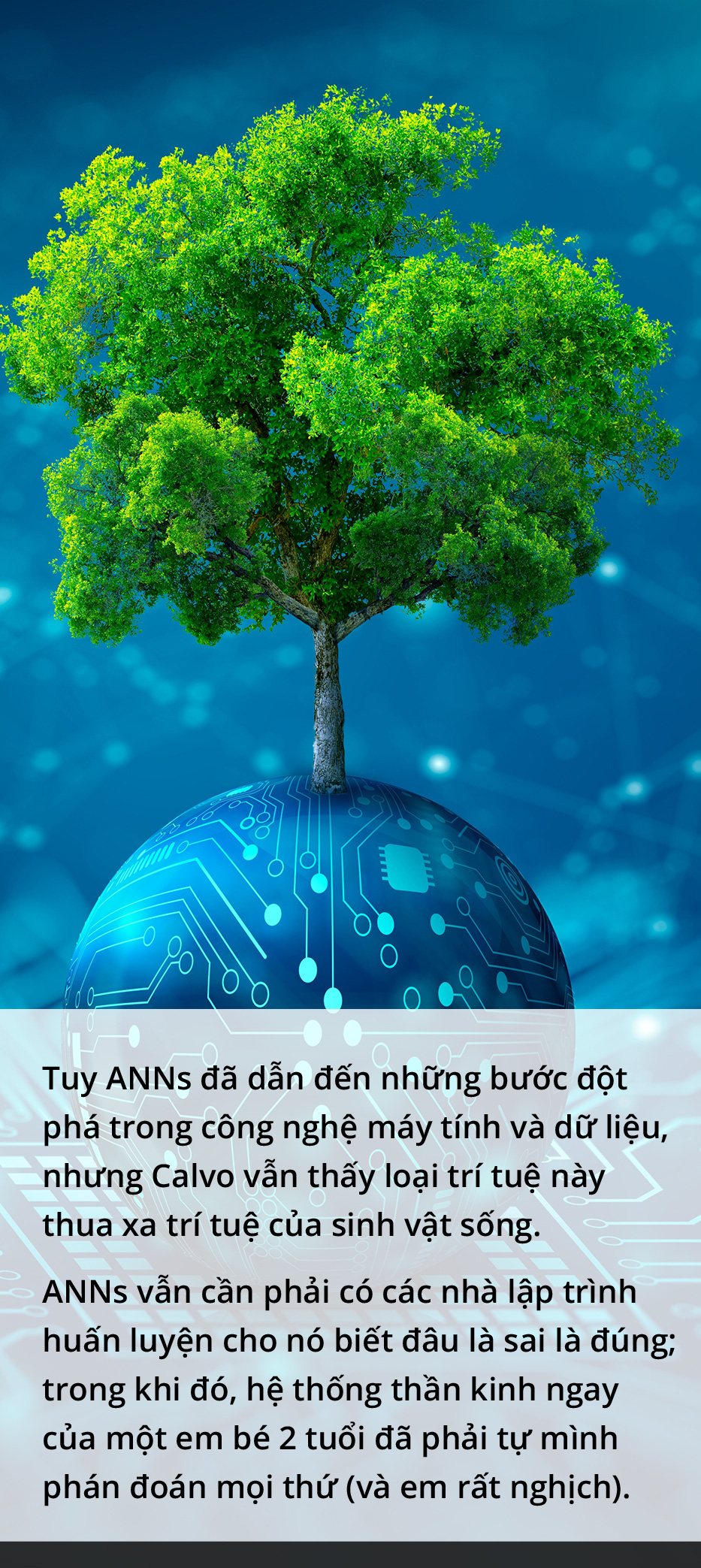 Hóa ra chúng ta là một rừng cây - Ảnh 4.