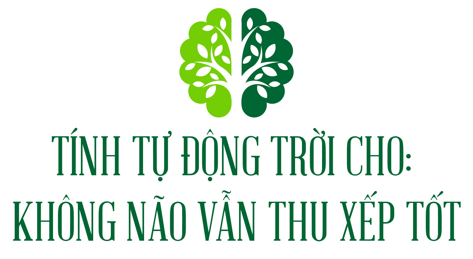 Hóa ra chúng ta là một rừng cây - Ảnh 11.