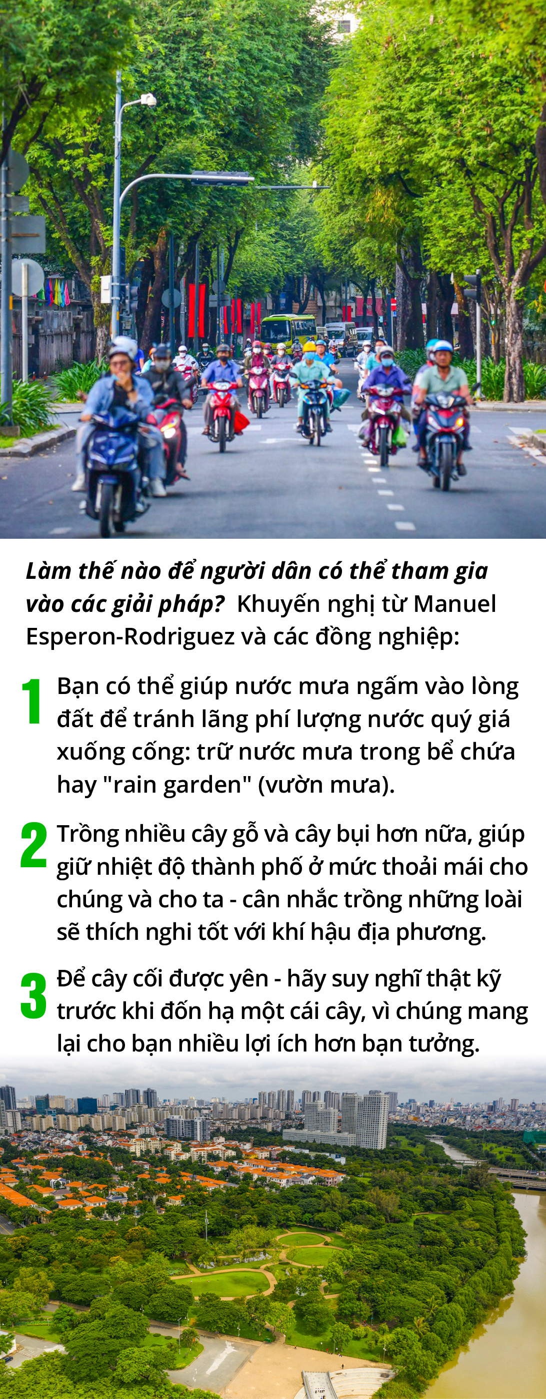 Cây xanh đô thị - “đọc vị” tương lai - Ảnh 11.