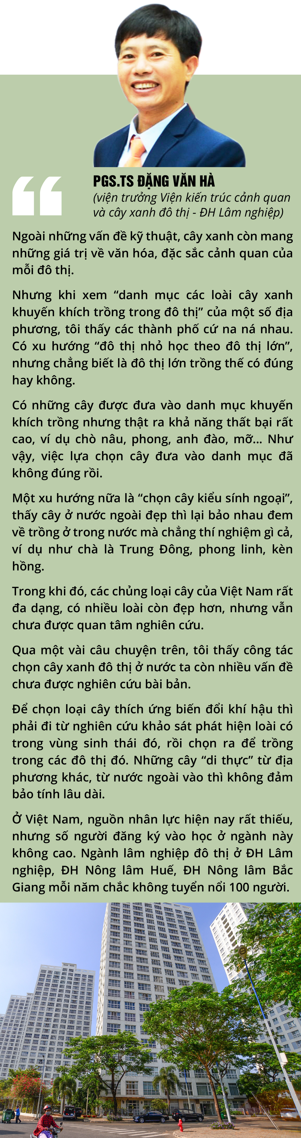 Cây xanh đô thị - “đọc vị” tương lai - Ảnh 16.