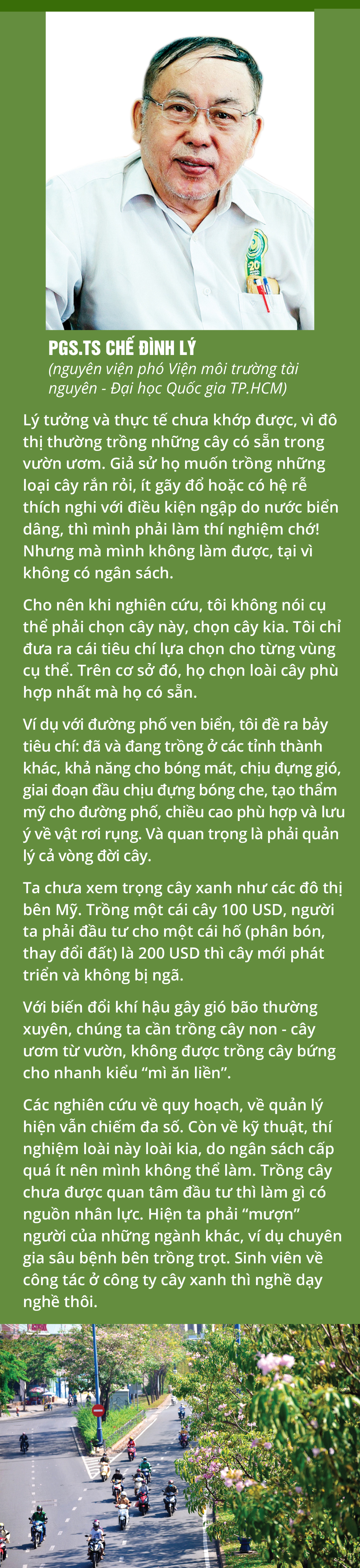 Cây xanh đô thị - “đọc vị” tương lai - Ảnh 14.