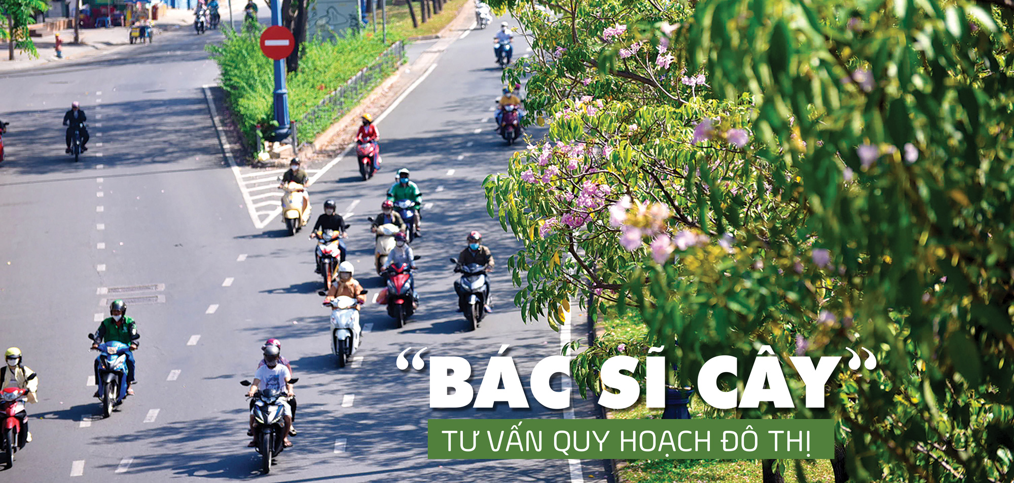 Cây xanh đô thị - “đọc vị” tương lai - Ảnh 29.