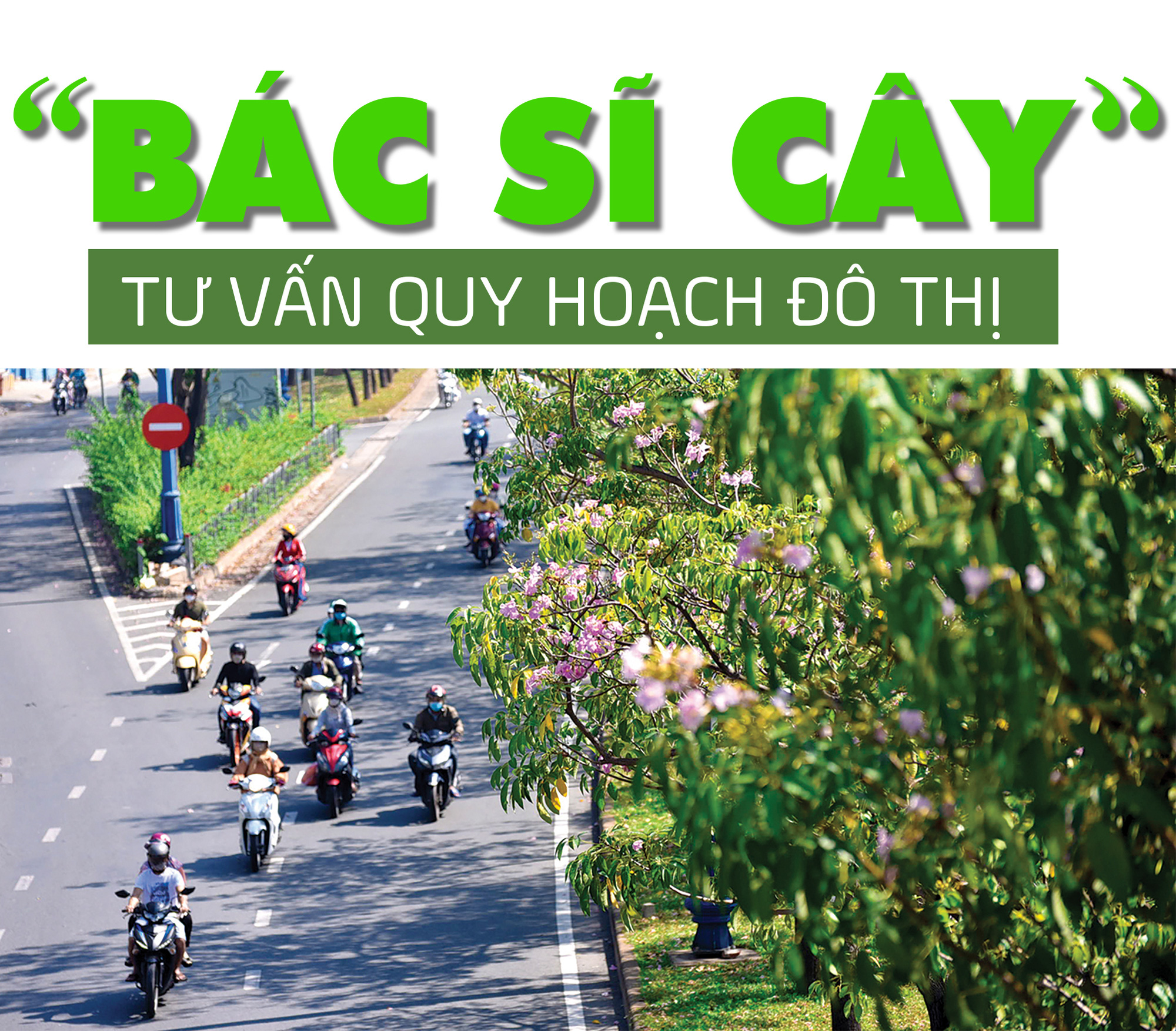 Cây xanh đô thị - “đọc vị” tương lai - Ảnh 29.