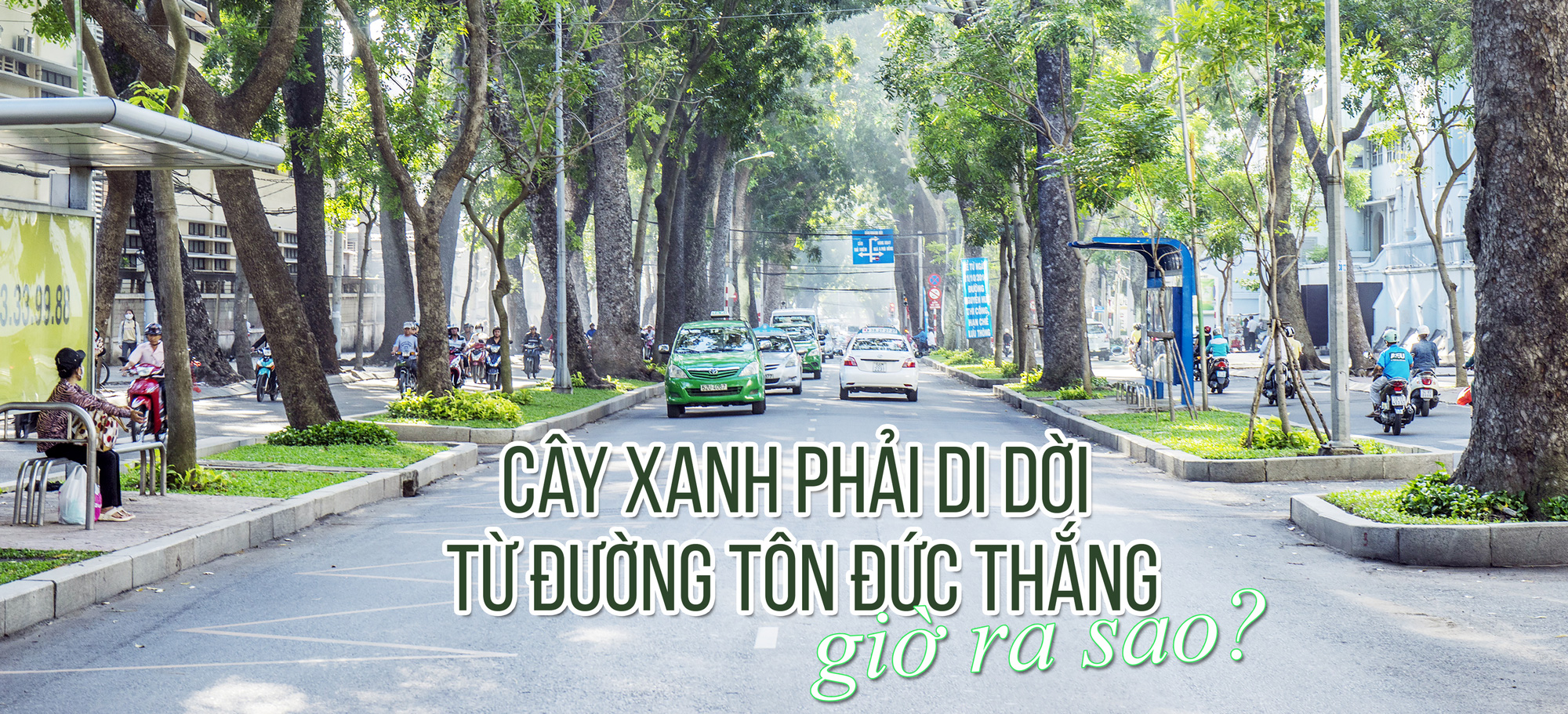 Cây xanh đô thị - “đọc vị” tương lai - Ảnh 37.