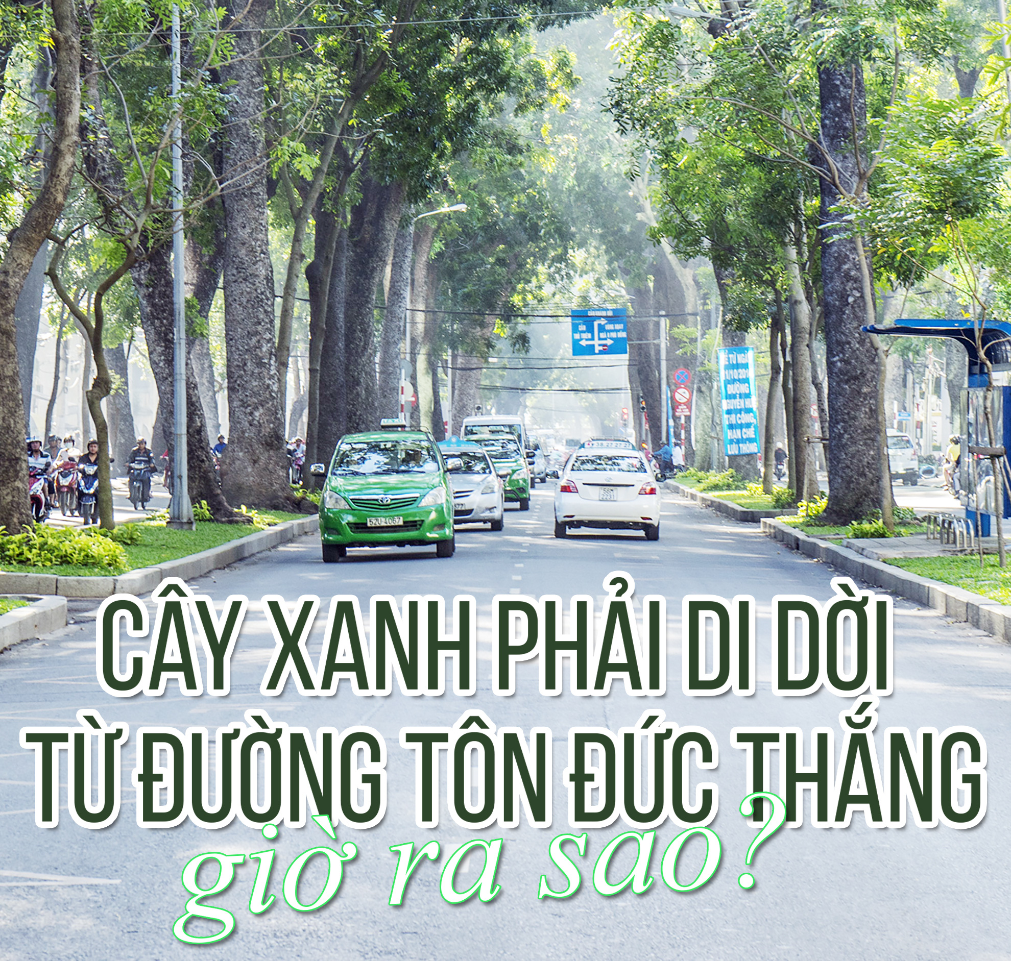 Cây xanh đô thị - “đọc vị” tương lai - Ảnh 37.