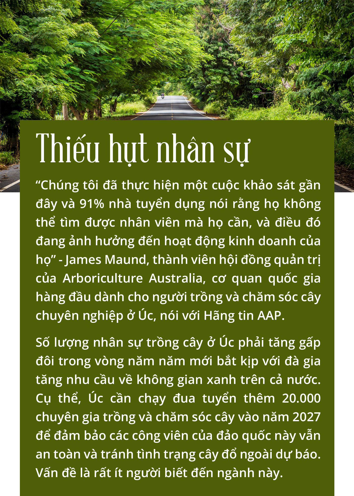 Cây xanh đô thị - “đọc vị” tương lai - Ảnh 28.