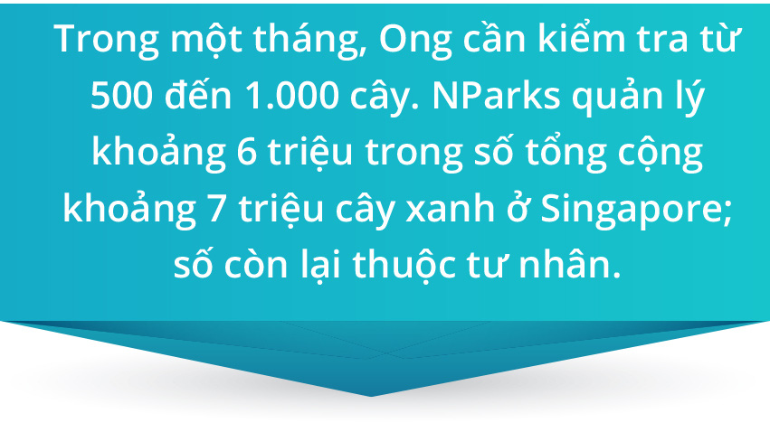 Cây xanh đô thị - “đọc vị” tương lai - Ảnh 22.