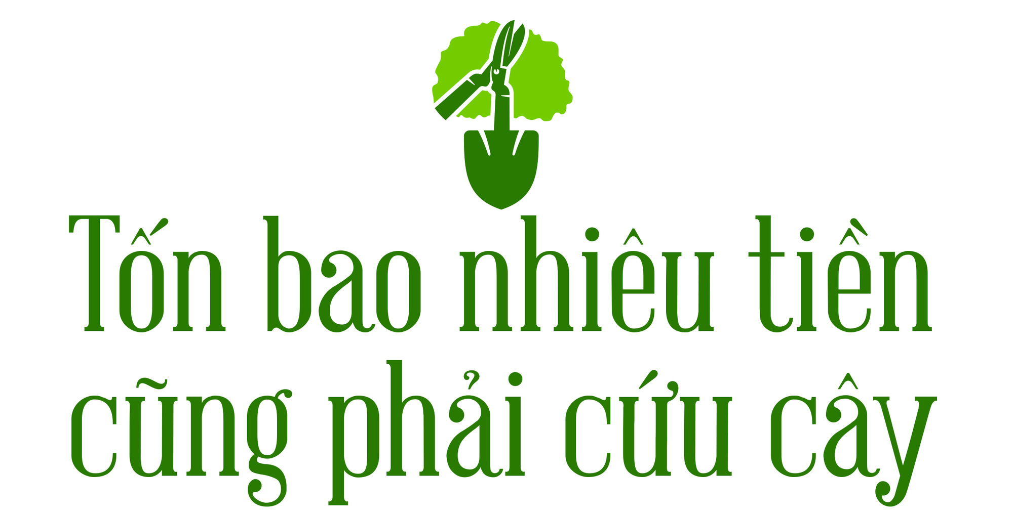 Cây xanh đô thị - “đọc vị” tương lai - Ảnh 33.