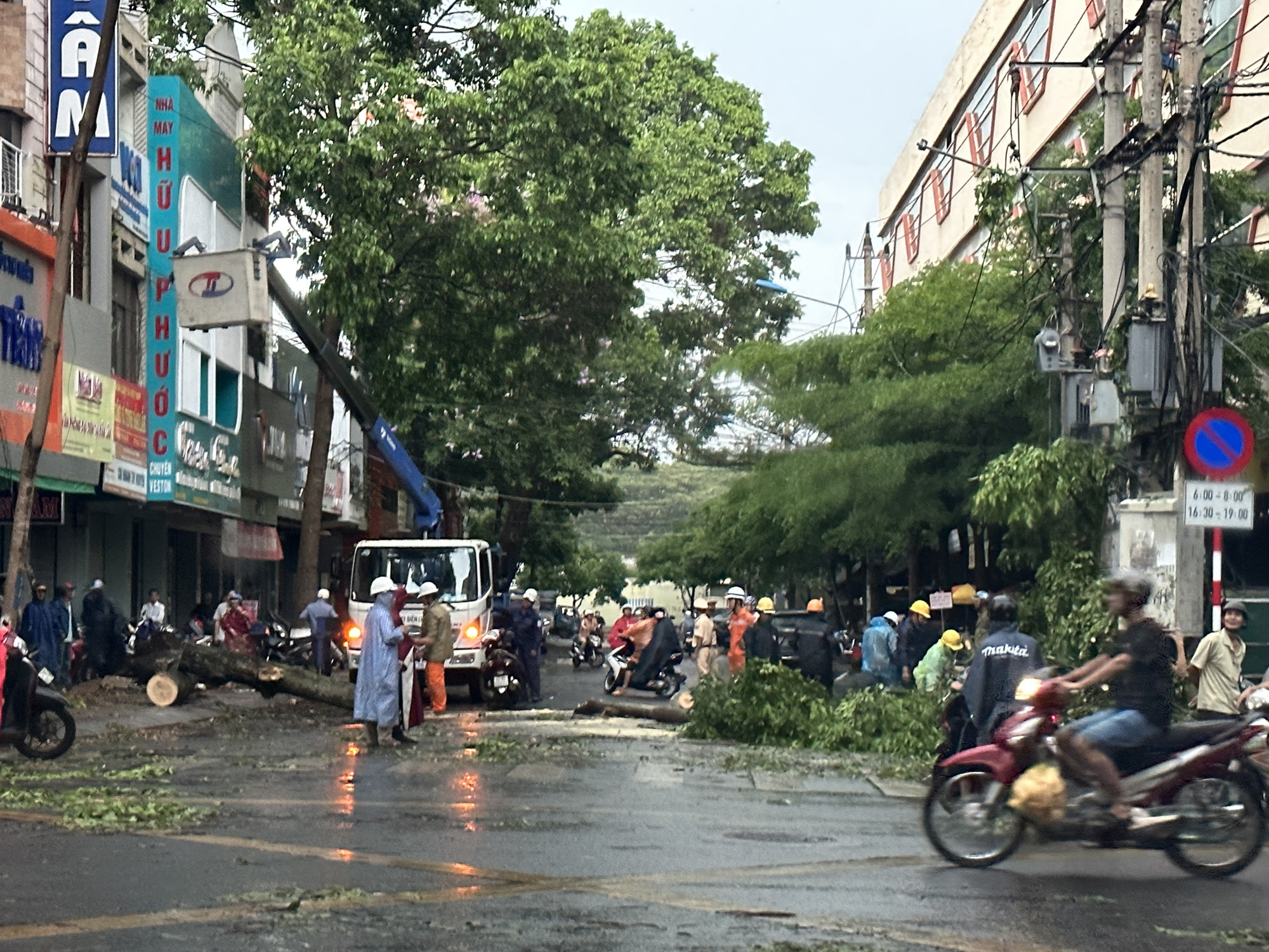 Cây đổ đè gãy cổ một phụ nữ - Ảnh 3. Cây đổ đè gãy cổ một phụ nữ - Ảnh 3.