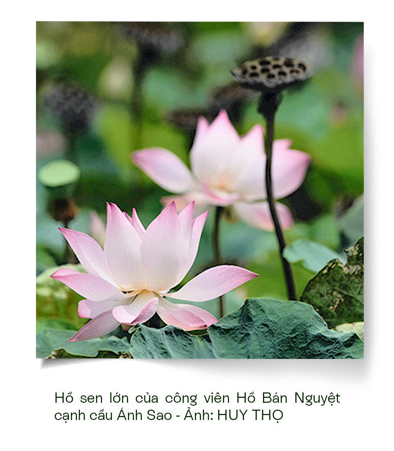 Vẫn còn đó một TP.HCM đất lành chim đậu - Ảnh 4.