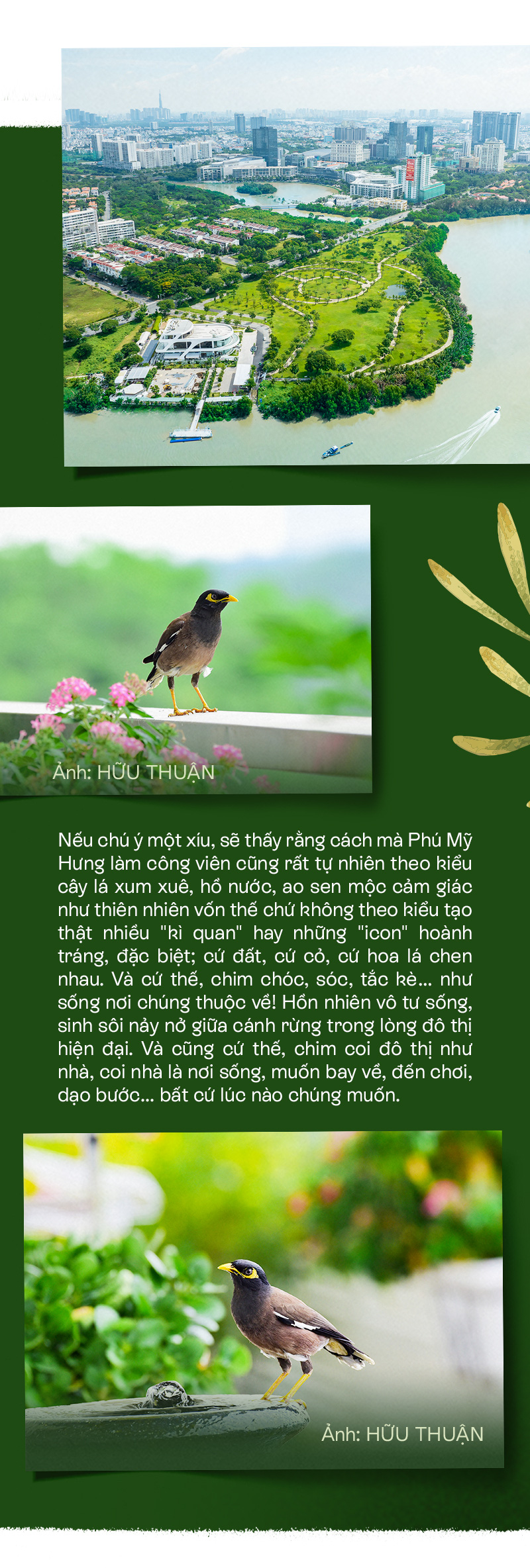 Vẫn còn đó một TP.HCM đất lành chim đậu - Ảnh 7.