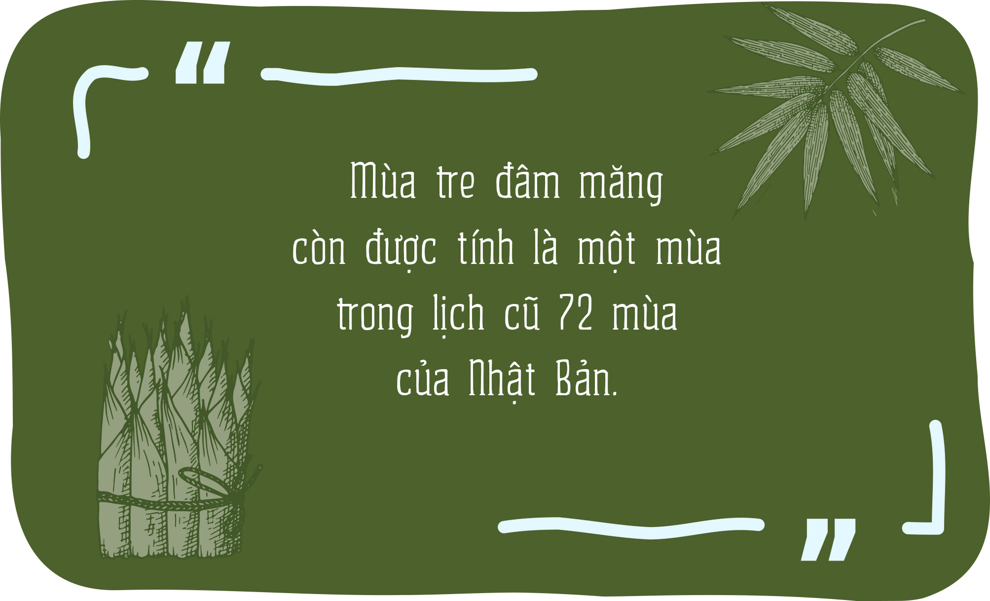 Tháng 5, tìm măng Kyo ở lòng bàn chân  - Ảnh 3.