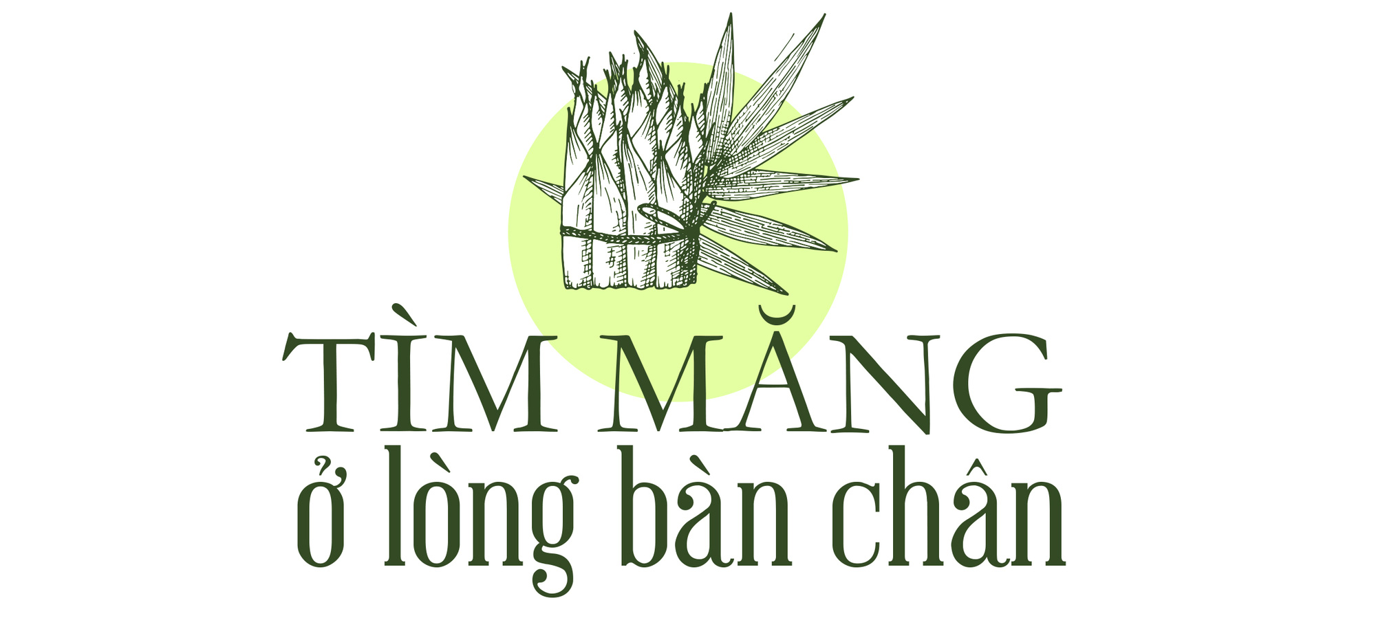 Tháng 5, tìm măng Kyo ở lòng bàn chân  - Ảnh 2.