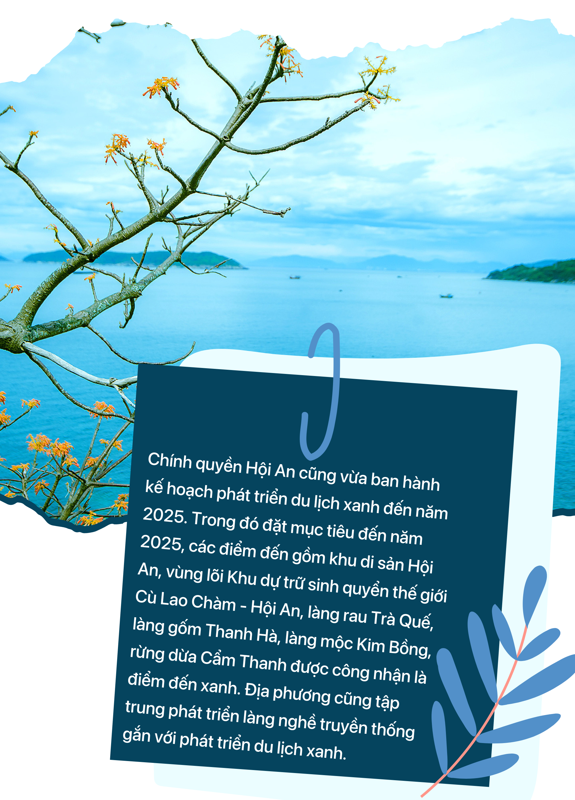Quảng Nam - điểm đến say lòng người - Ảnh 23.
