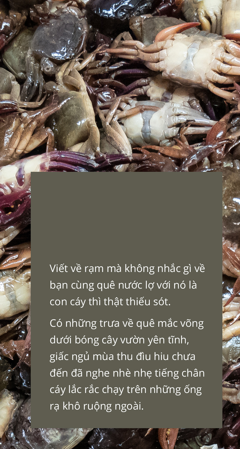 Những thức ăn mùa hè thương nhớ… - Ảnh 4.