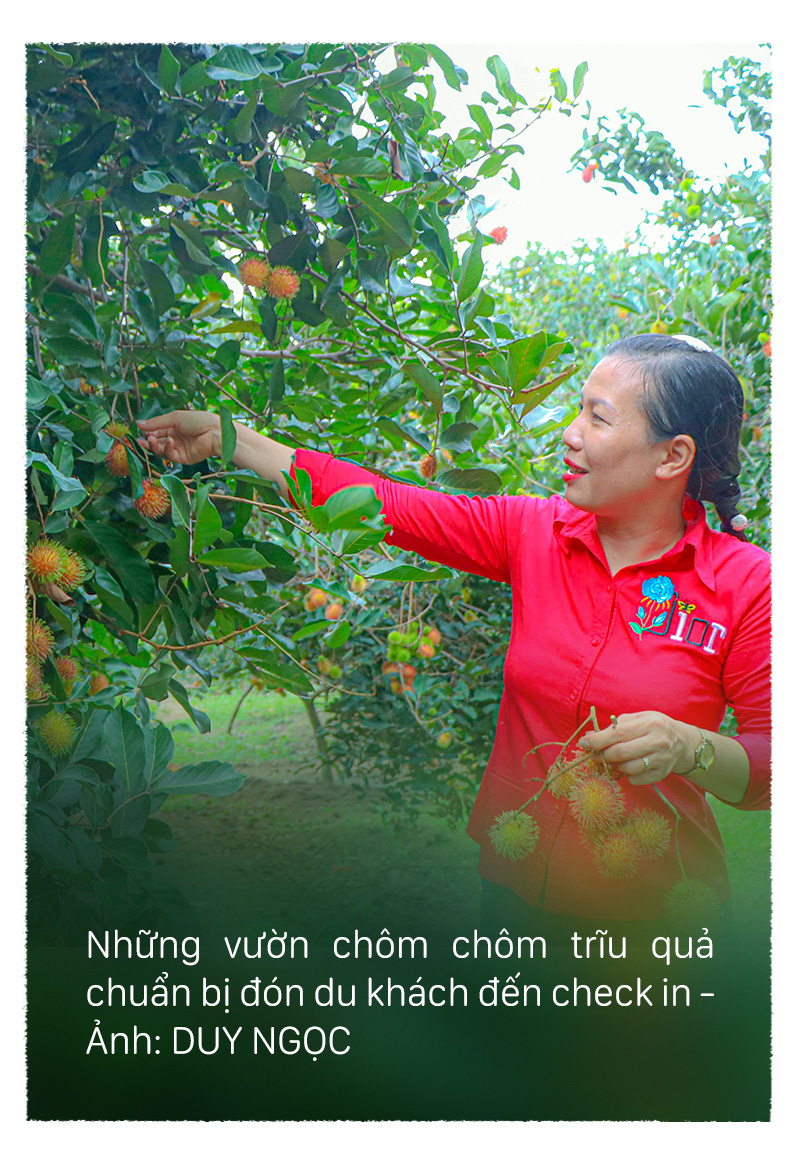 Mê mẩn những vườn trái cây trĩu quả dưới chân đèo Sông Pha - Ảnh 8.