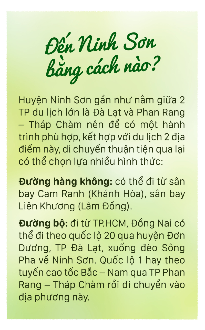 Mê mẩn những vườn trái cây trĩu quả dưới chân đèo Sông Pha - Ảnh 10.