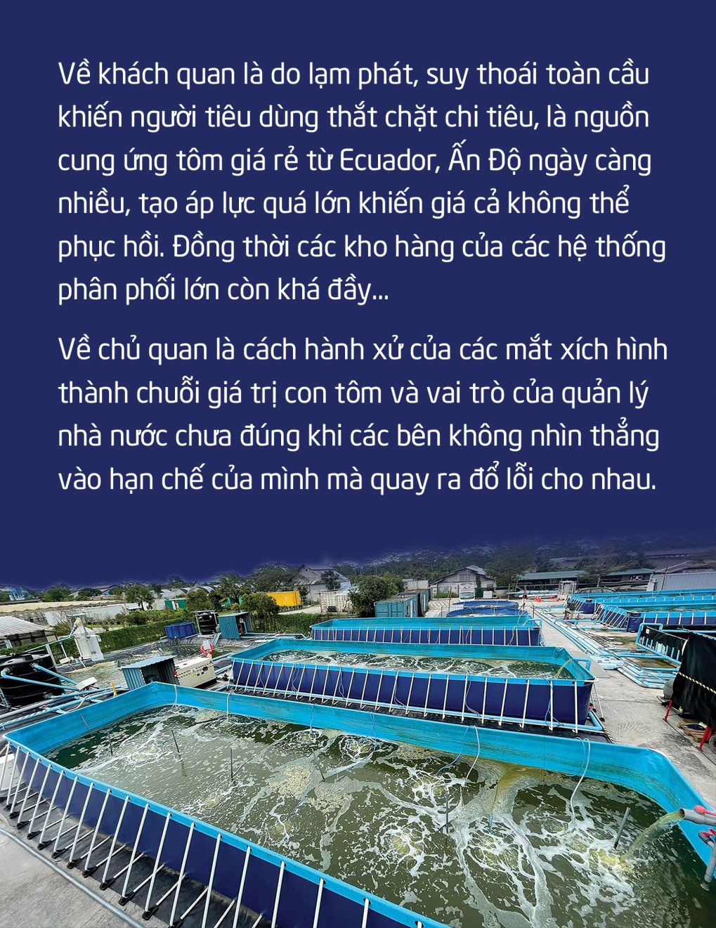 Chuyện gì đang xảy ra với con tôm Việt Nam? - Ảnh 2.