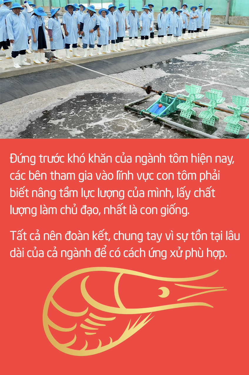 Chuyện gì đang xảy ra với con tôm Việt Nam? - Ảnh 8.