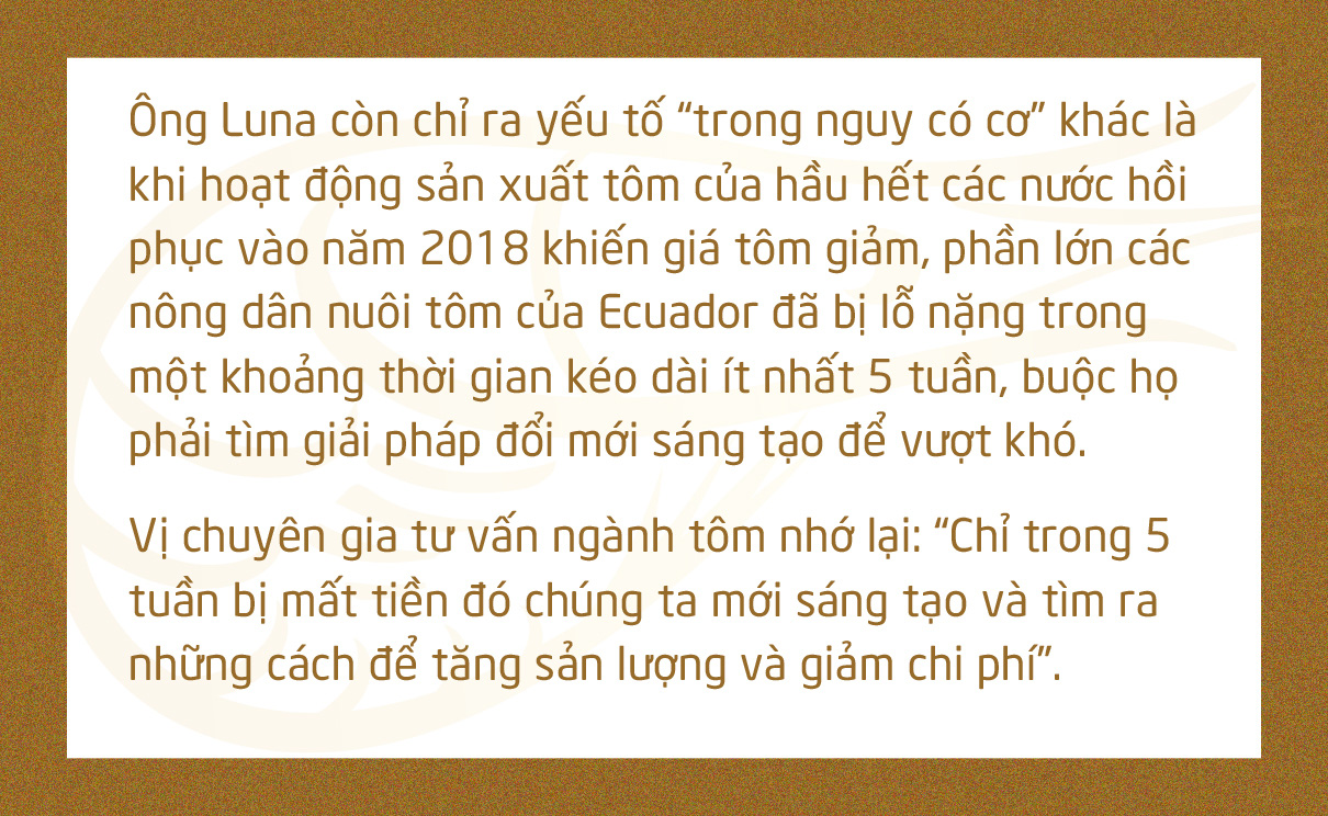 Chuyện gì đang xảy ra với con tôm Việt Nam? - Ảnh 18.