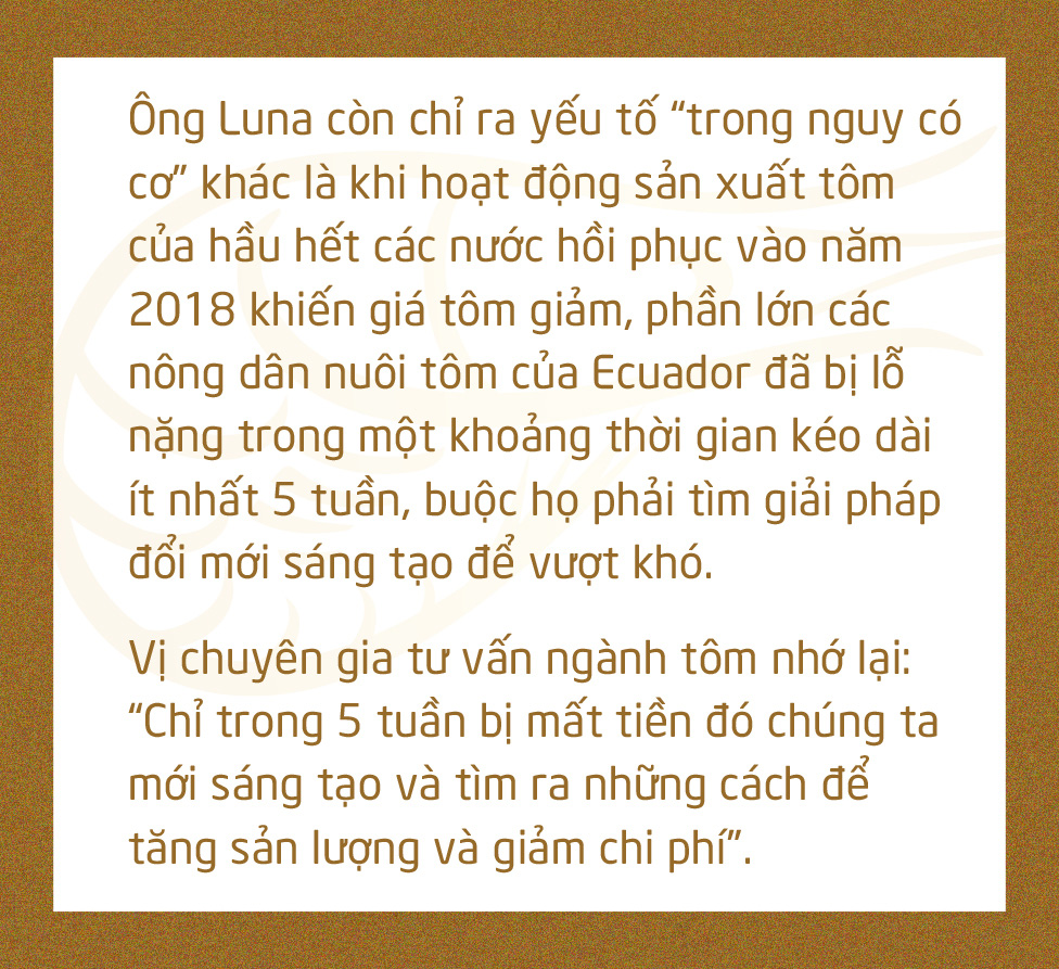 Chuyện gì đang xảy ra với con tôm Việt Nam? - Ảnh 18.