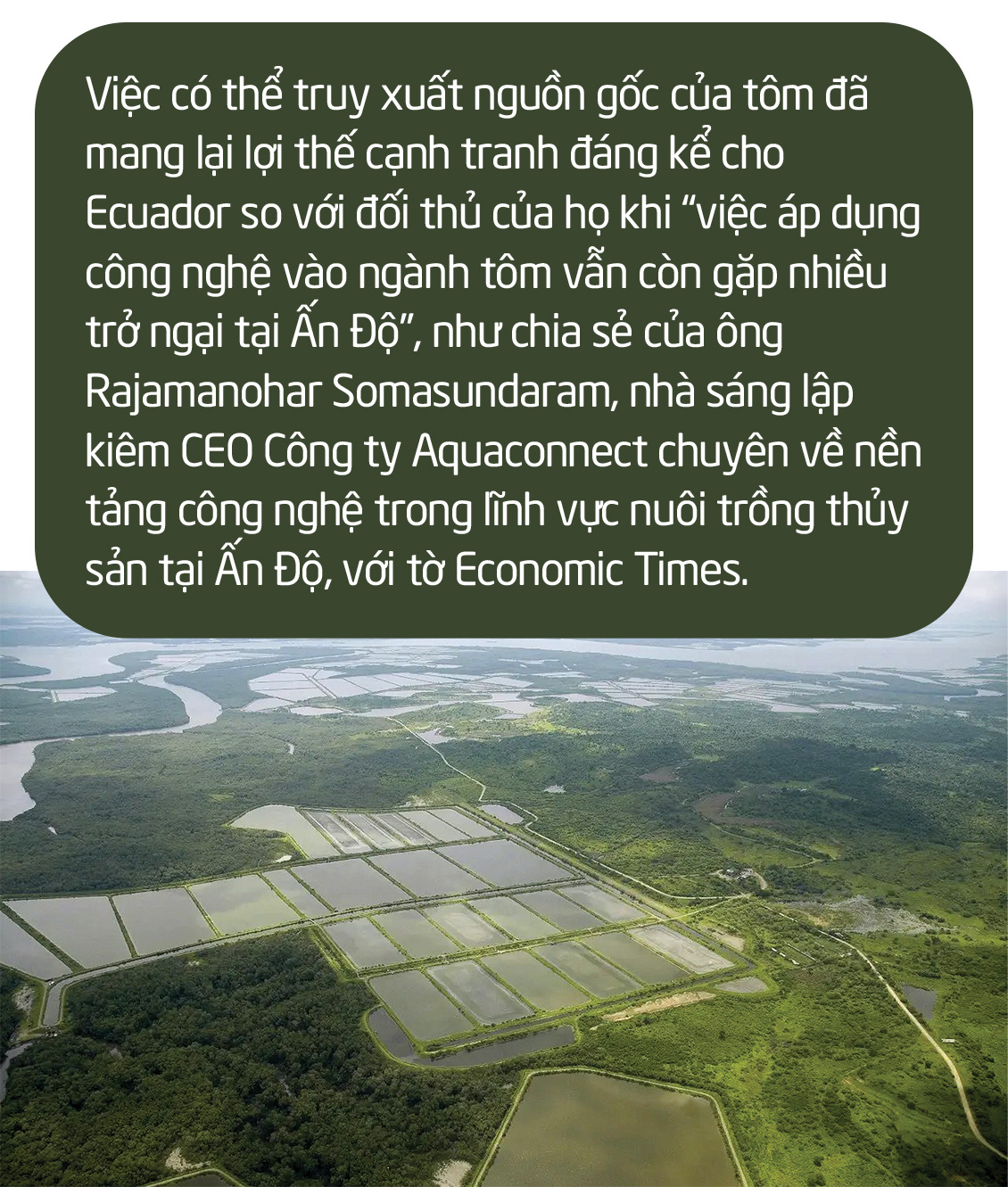 Chuyện gì đang xảy ra với con tôm Việt Nam? - Ảnh 22.